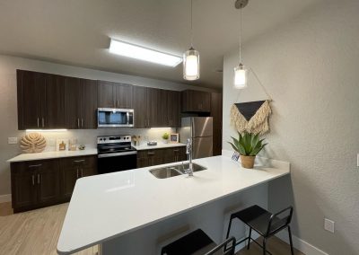 luxury kitchen at liv+ gainesville